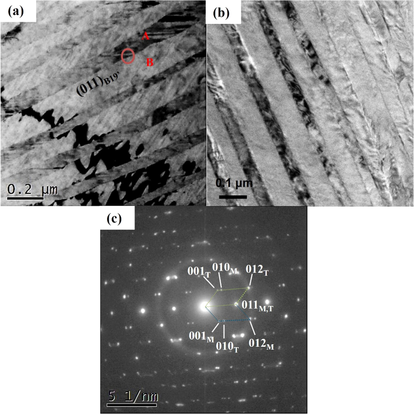 A comparative study of the microstructure and shape memory behaviour of ...