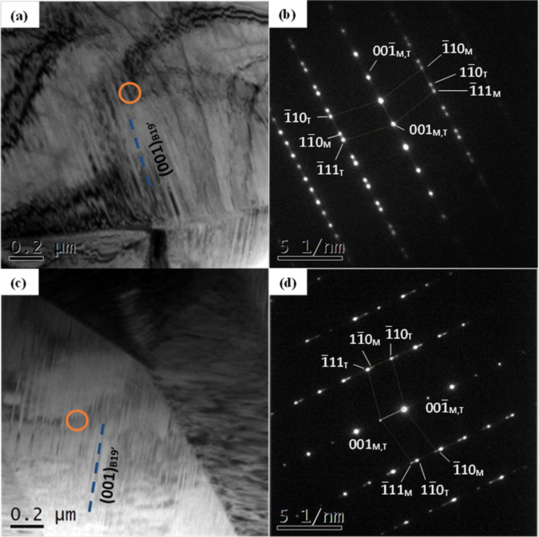 A comparative study of the microstructure and shape memory behaviour of ...
