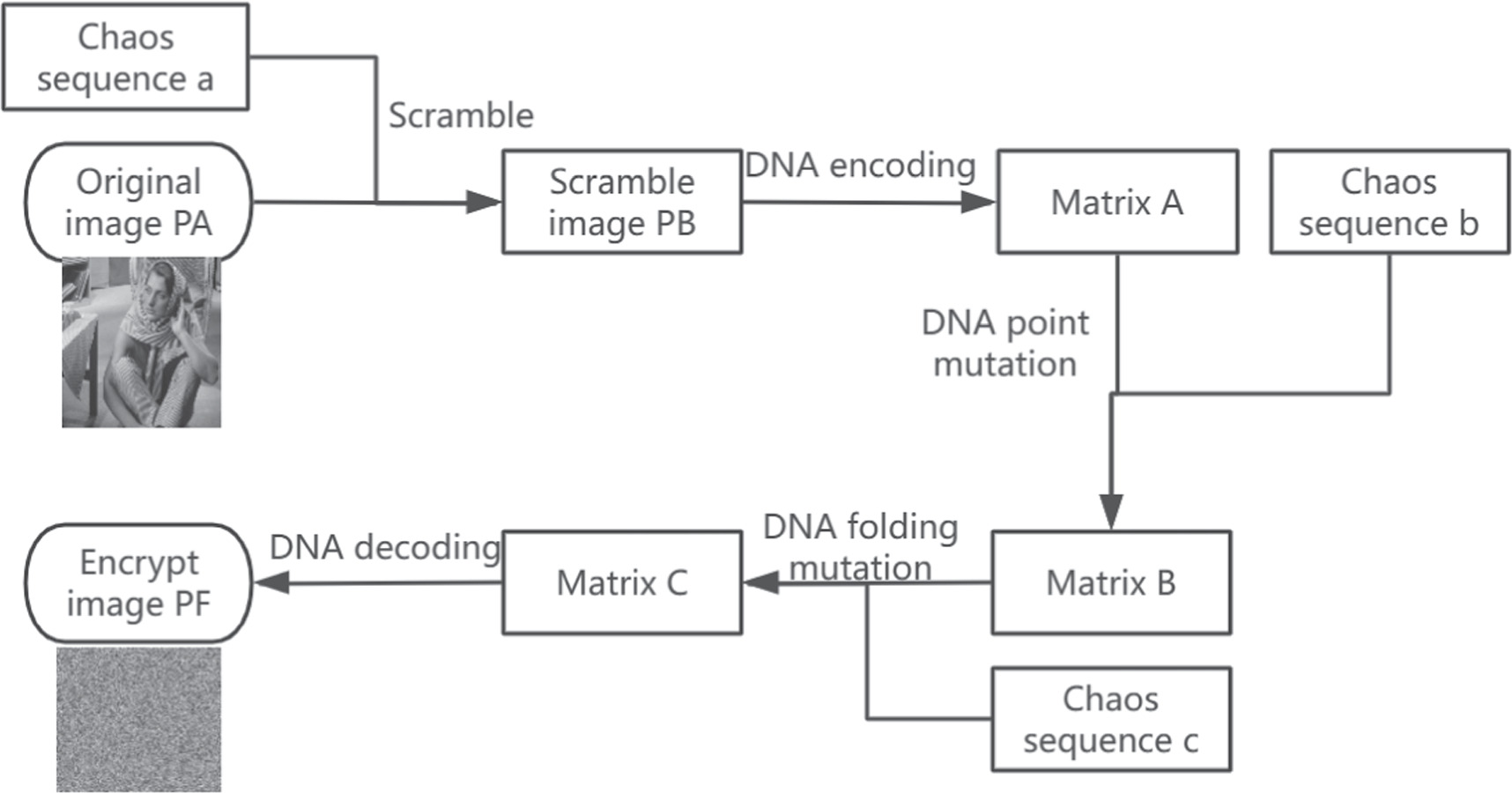 Image encryption algorithm based on DNA mutation and a novel four ...