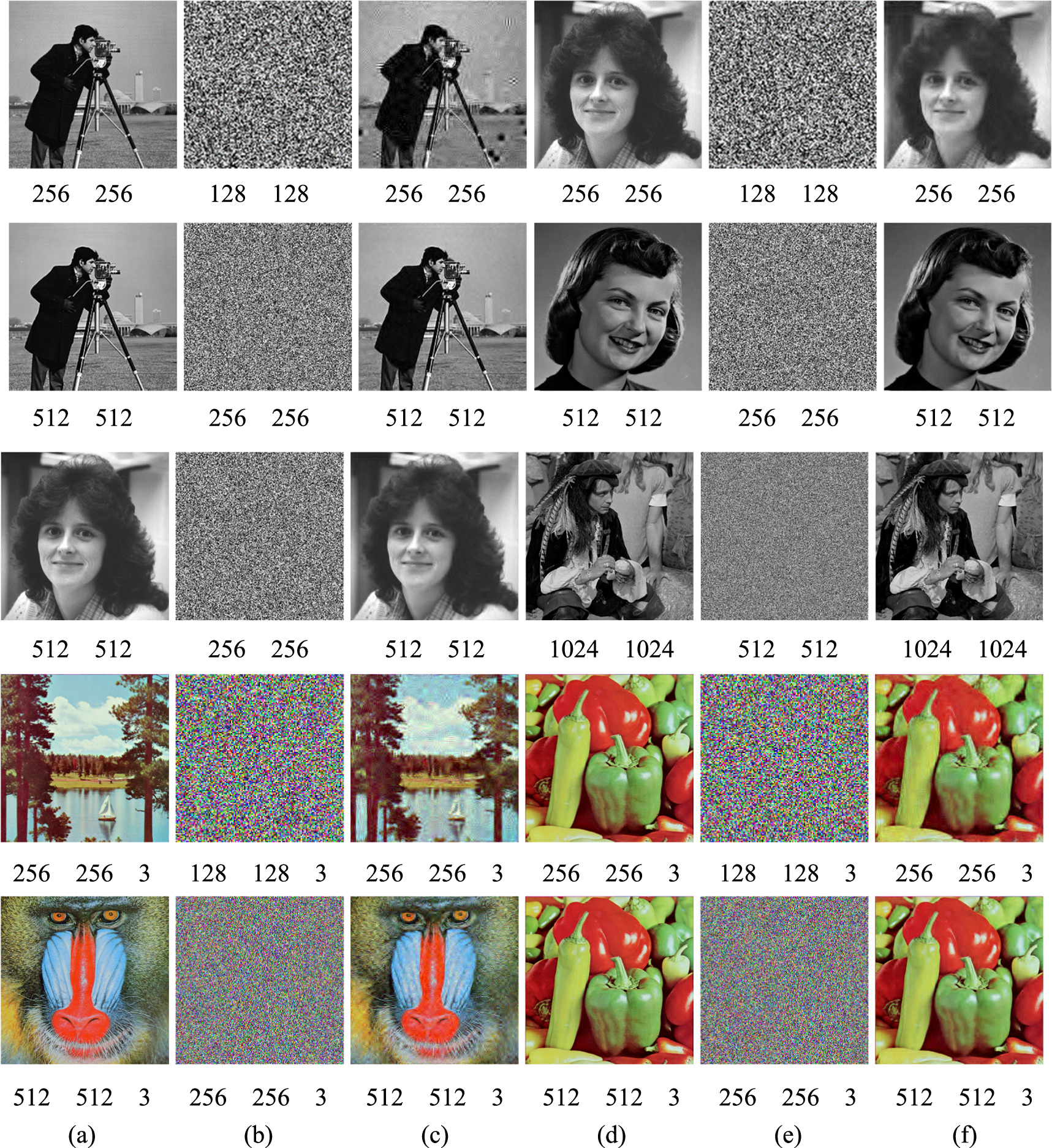 Shred Picture Compression Algorithm Image compression encryption algorithm combining two-dimensional ...
