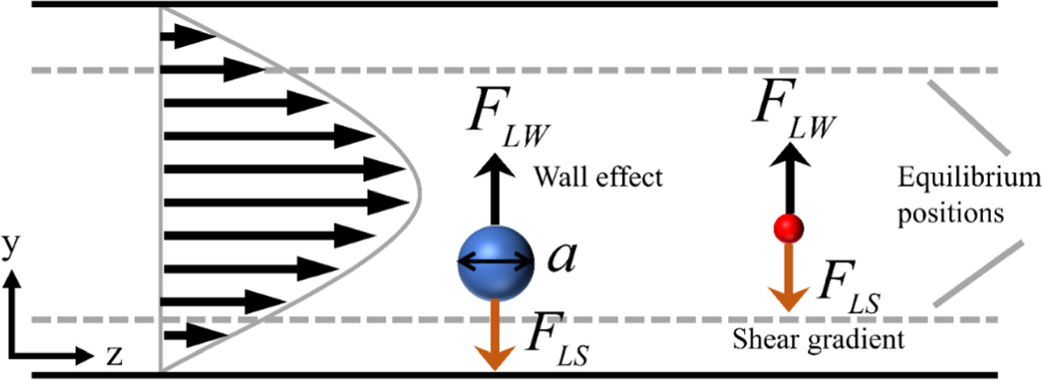 Efficient microfluidic particle separation using inertial pre-focusing ...