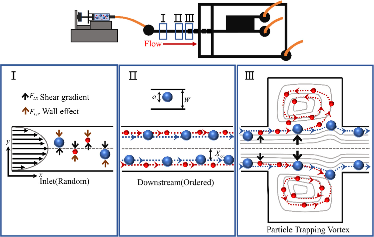 Efficient microfluidic particle separation using inertial pre-focusing ...
