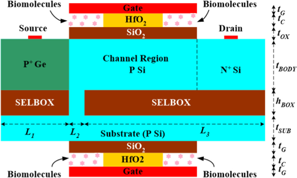 Dielectric modulated TFET on SELBOX substrate as a label-free biosensor ...