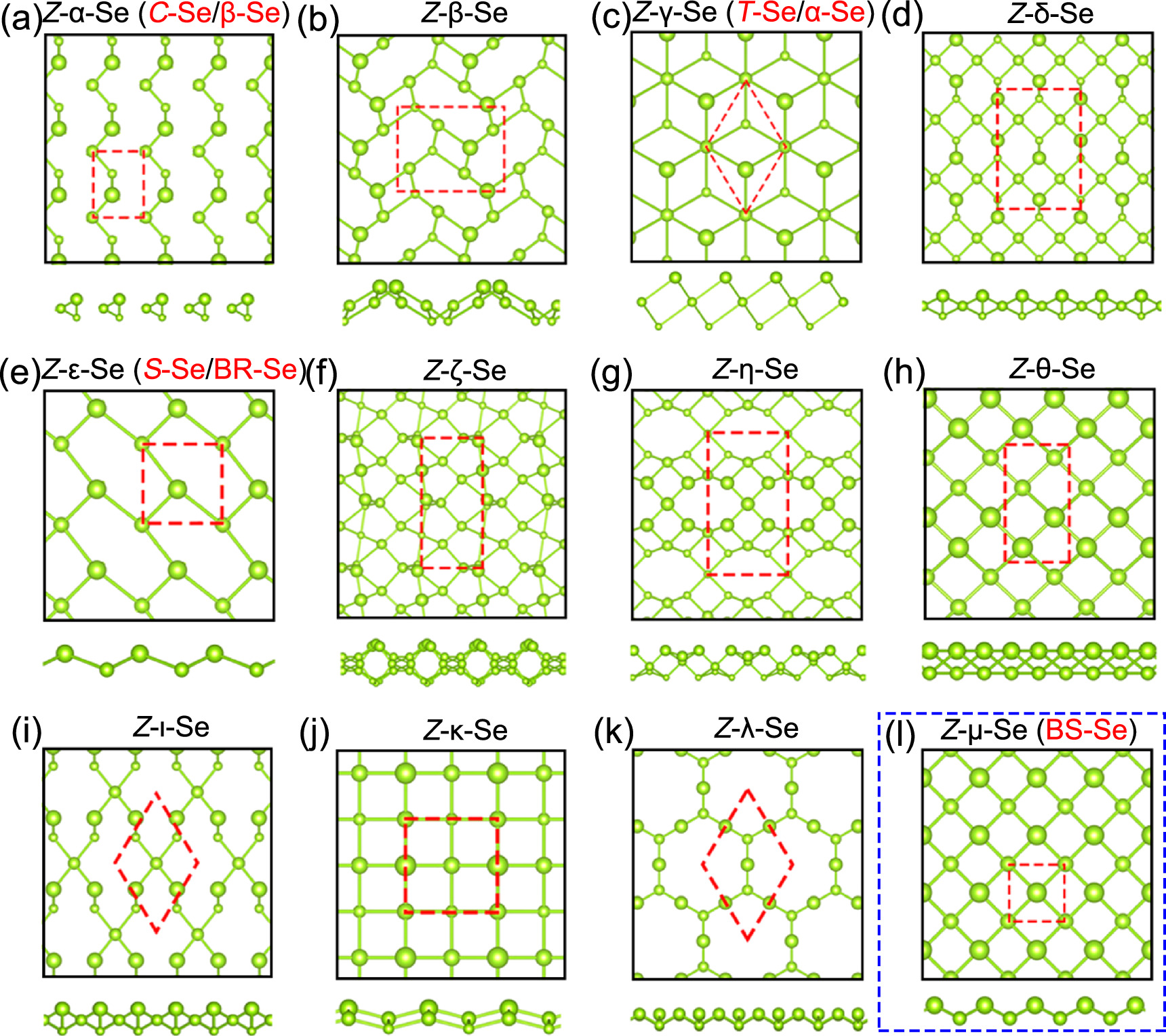 Computational prediction of novel two-dimensional selenium allotropes ...