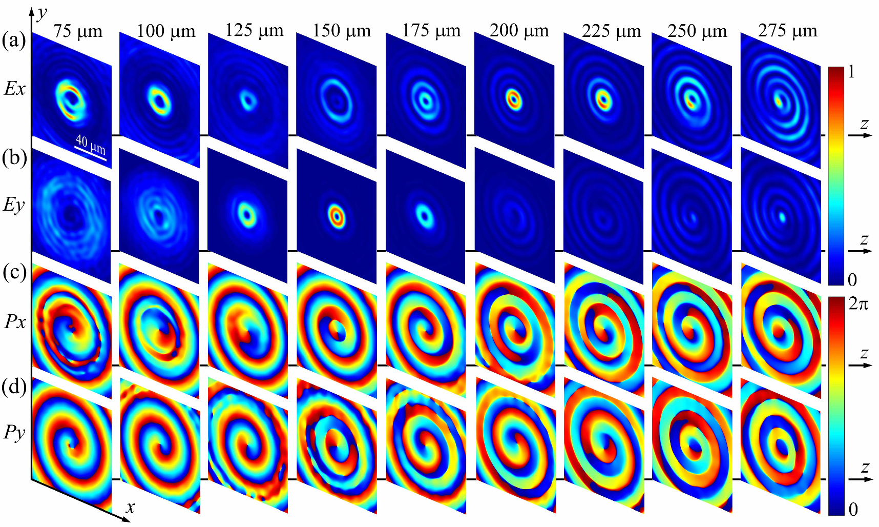 Generation of scalar and vector beams with longitudinally varying ...