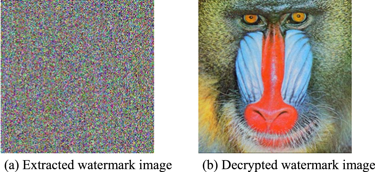 Robust double encryption and watermarking algorithms for color ...