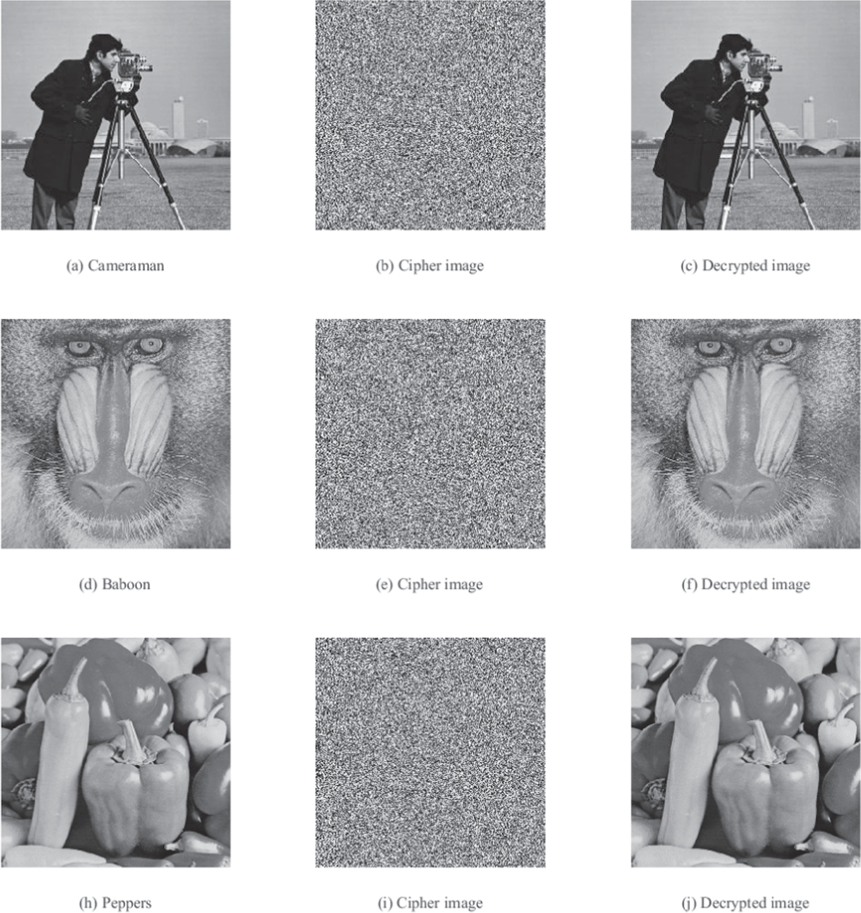A novel fast image encryption algorithm based on coefficient ...