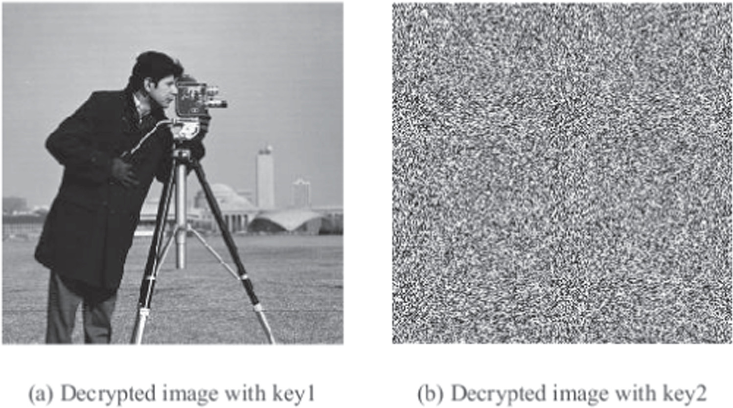 A novel fast image encryption algorithm based on coefficient ...
