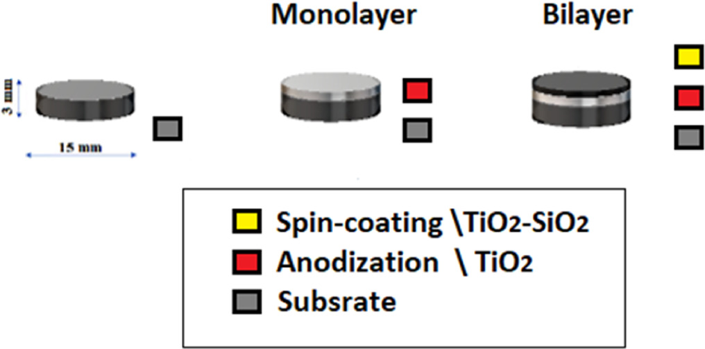 Analyzing the corrosion and tribocorrosion performances of monolayer ...