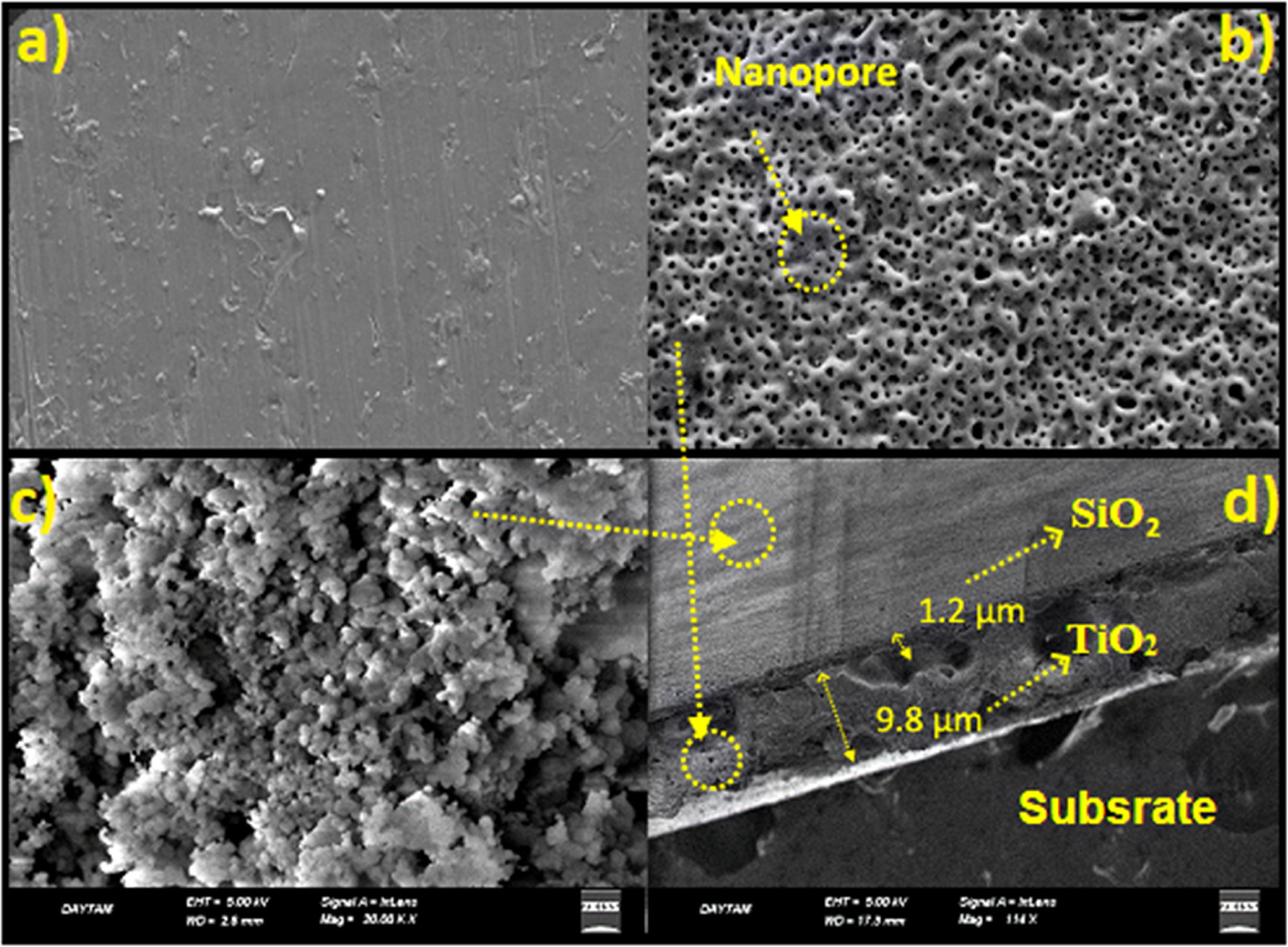 Analyzing the corrosion and tribocorrosion performances of monolayer ...