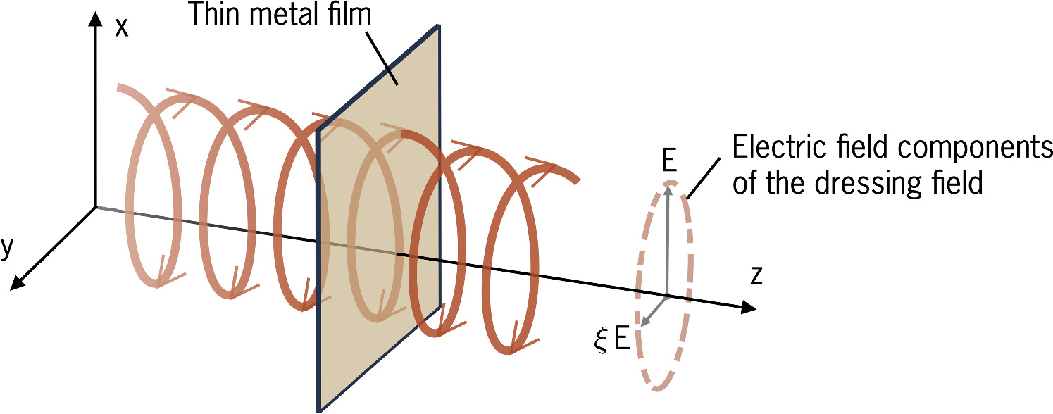 Investigating the impact of polarization on surface plasmon polariton ...