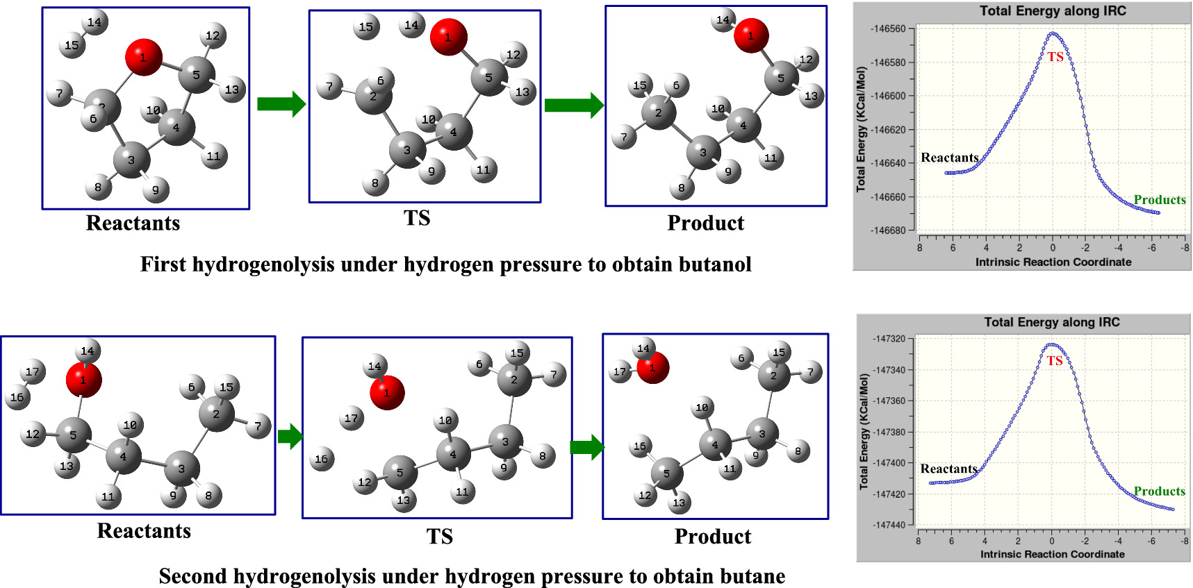 Biomass residues purification: elimination of oxygen from oxolane