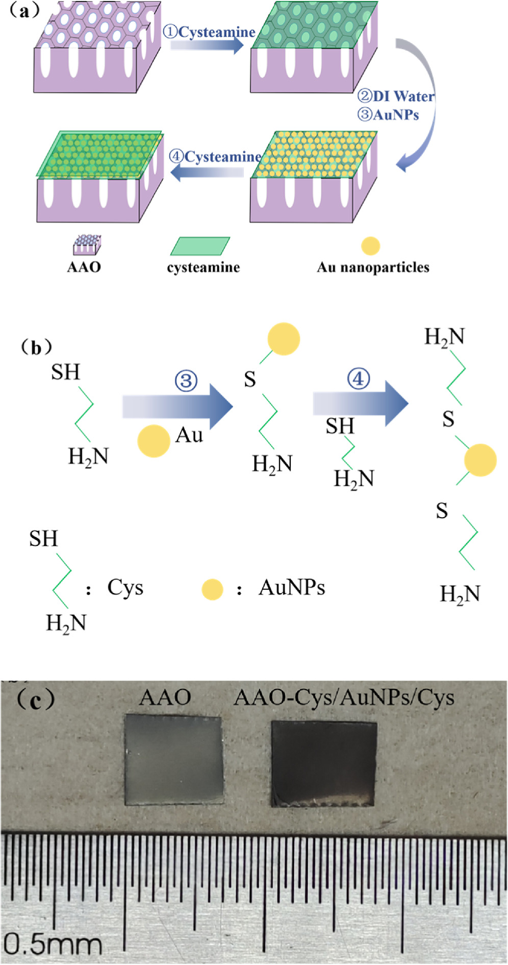 Natrite Raman Direct detection of nitrite and nitrate in water on three-dimensional ...
