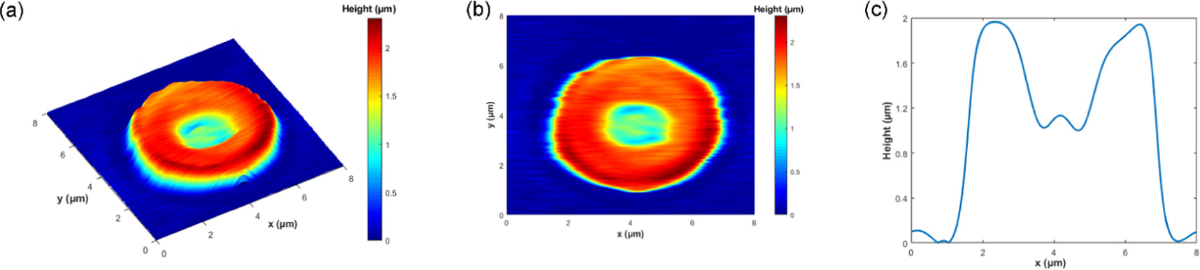 White light diffraction phase microscopy for imaging of red blood cells ...
