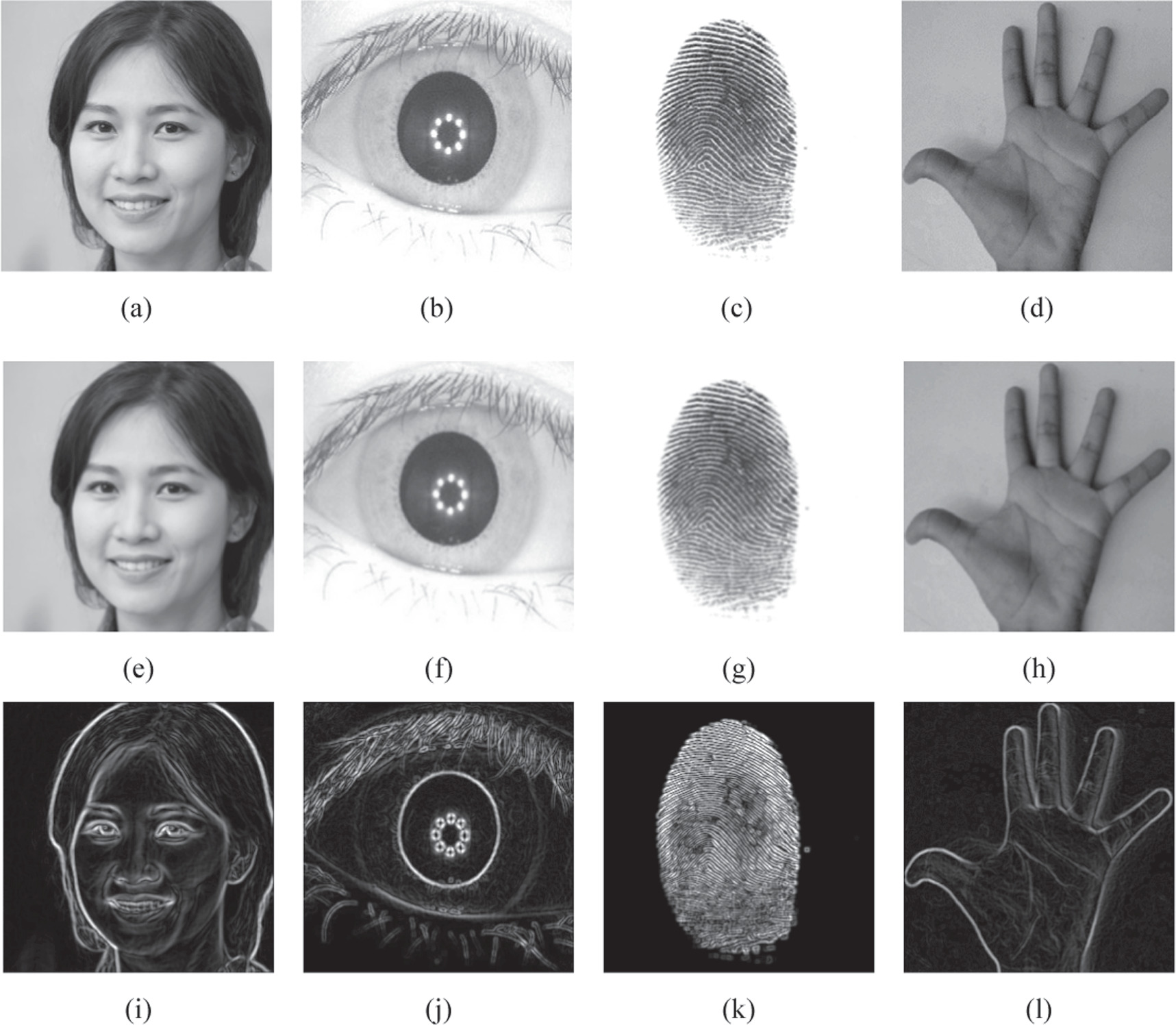 python image processing projects deepkeygen: medical... 3D medical image encryption algorithm using biometric key and cubic S ...