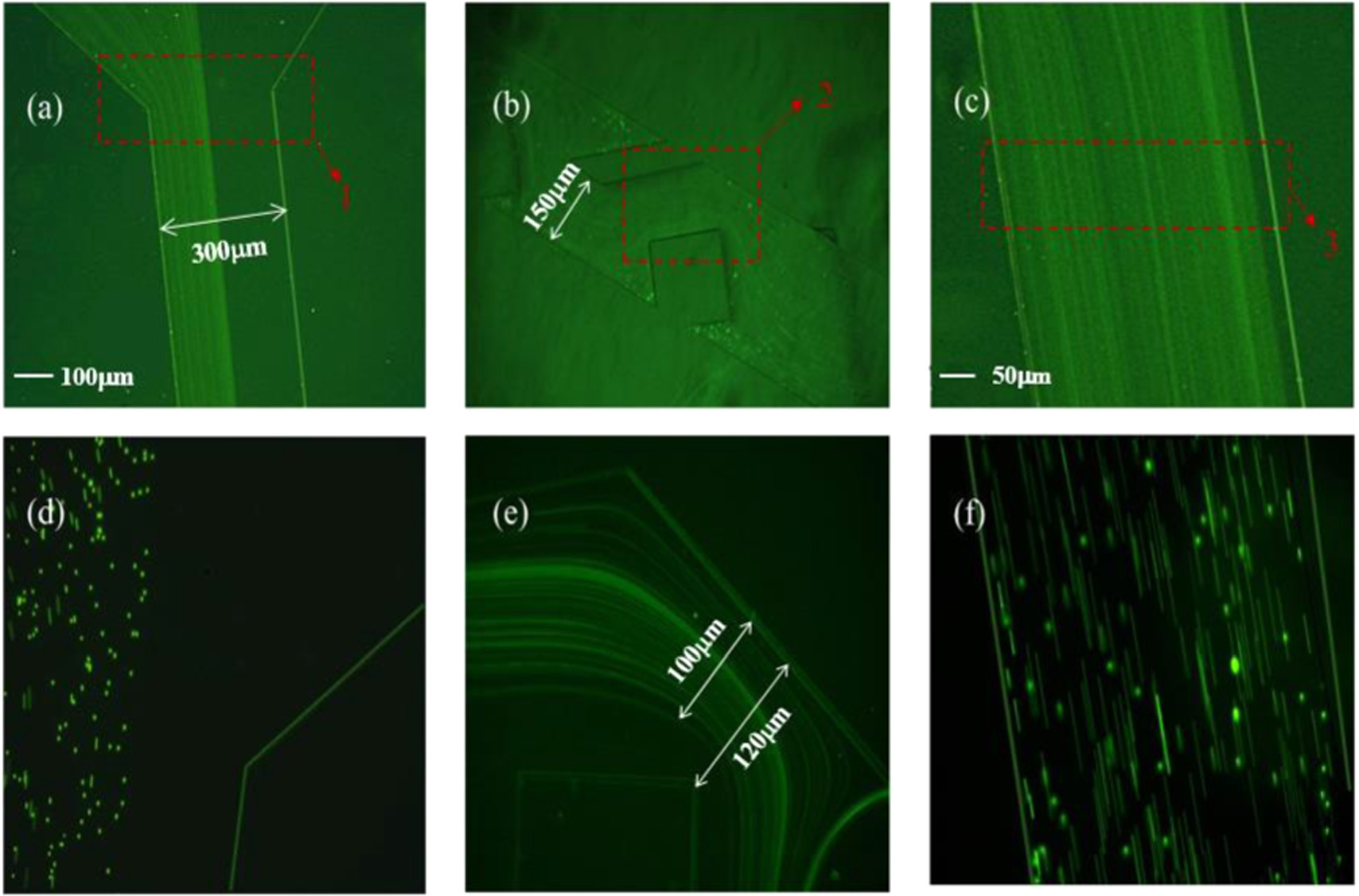 Design of a high-throughput integrated microfluidic chip combining ...
