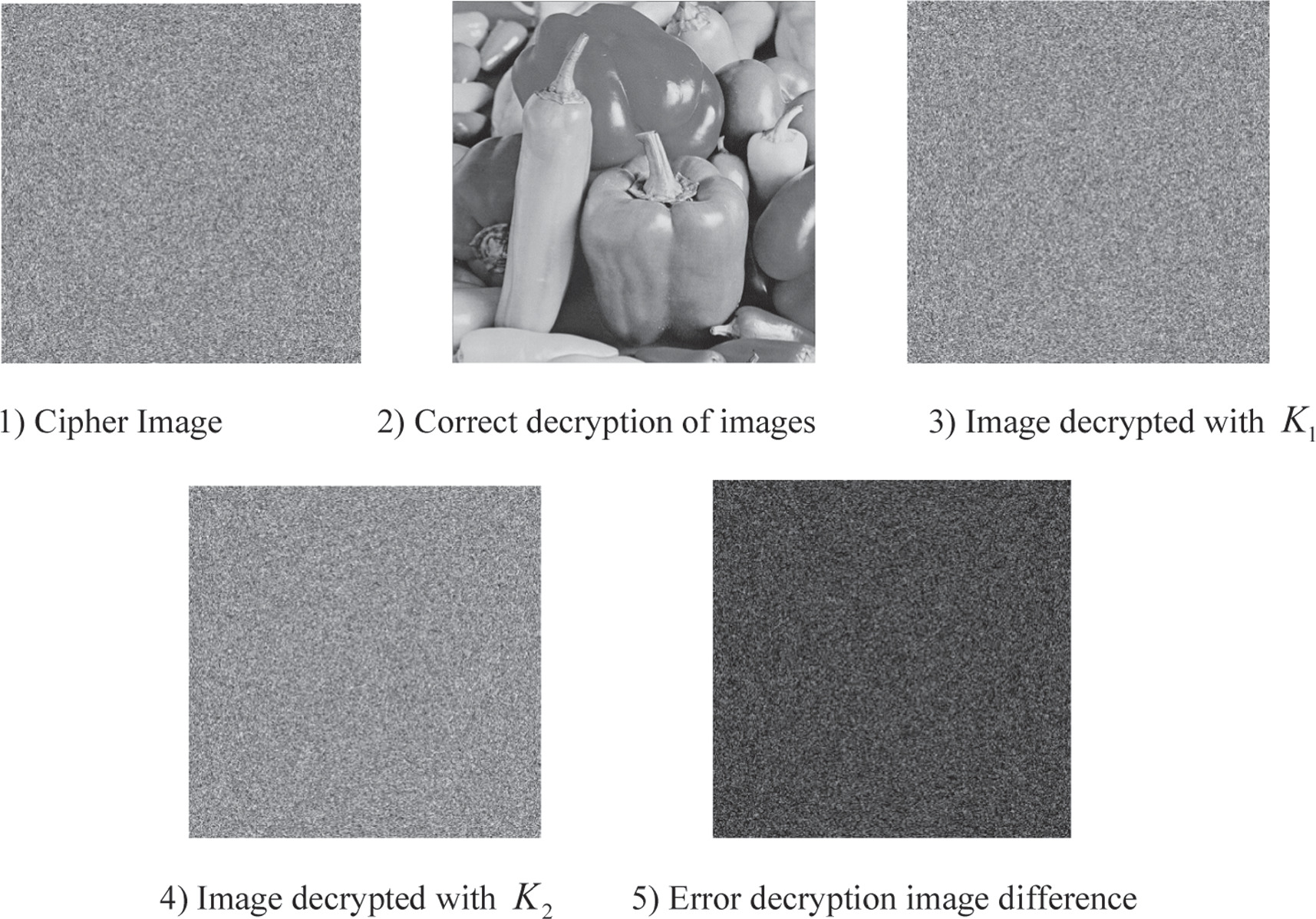 A novel chaotic image encryption is based on fractional wavelet ...