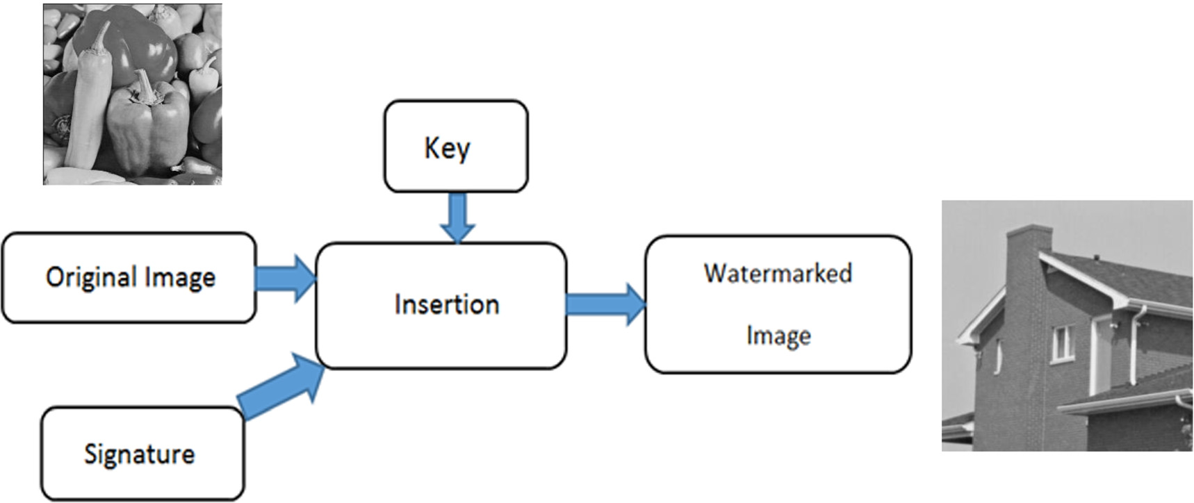 Robust digital image watermarking scheme with a fractional-order ...