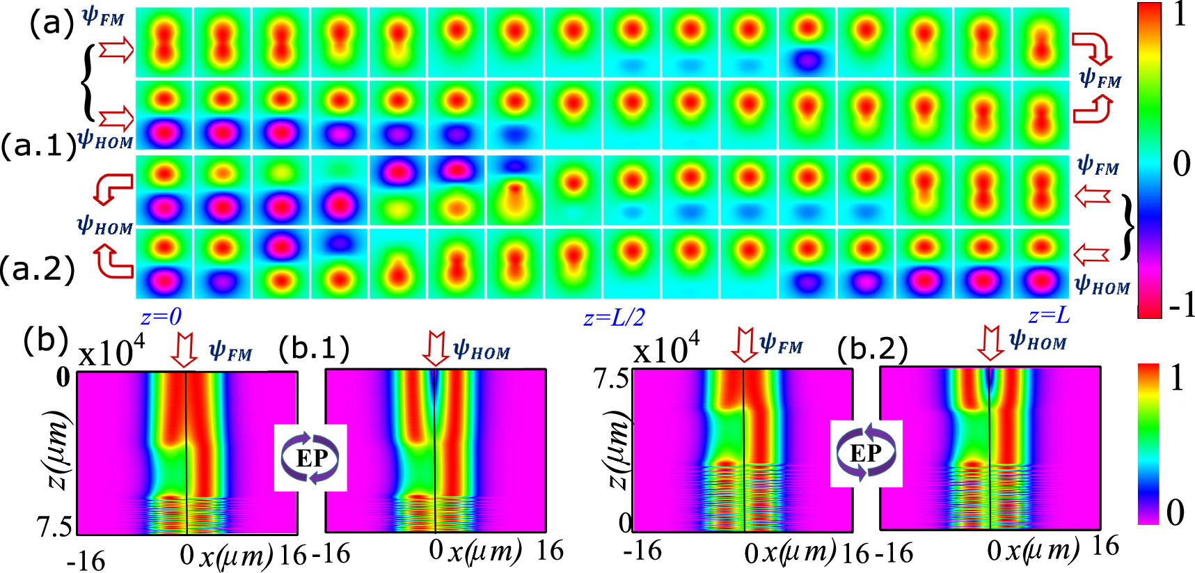 Hosting exceptional point in all-lossy dual-core optical