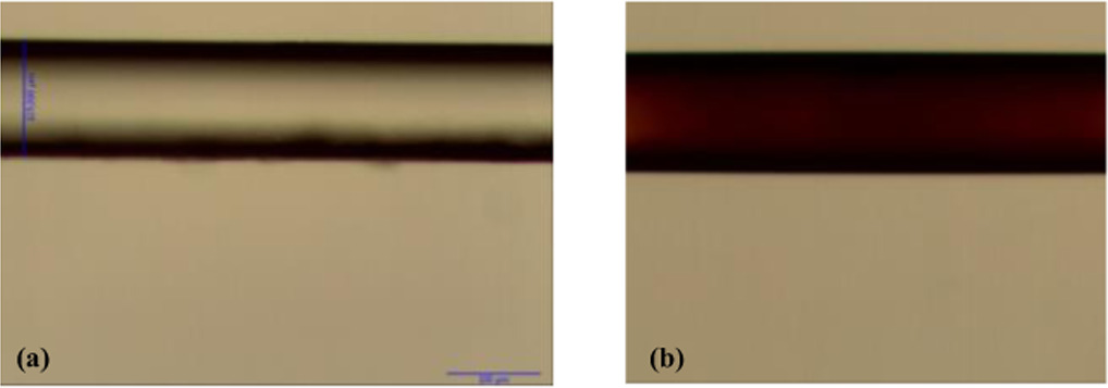 Coating effects of a strain sensor on durability and sensitivity using ...