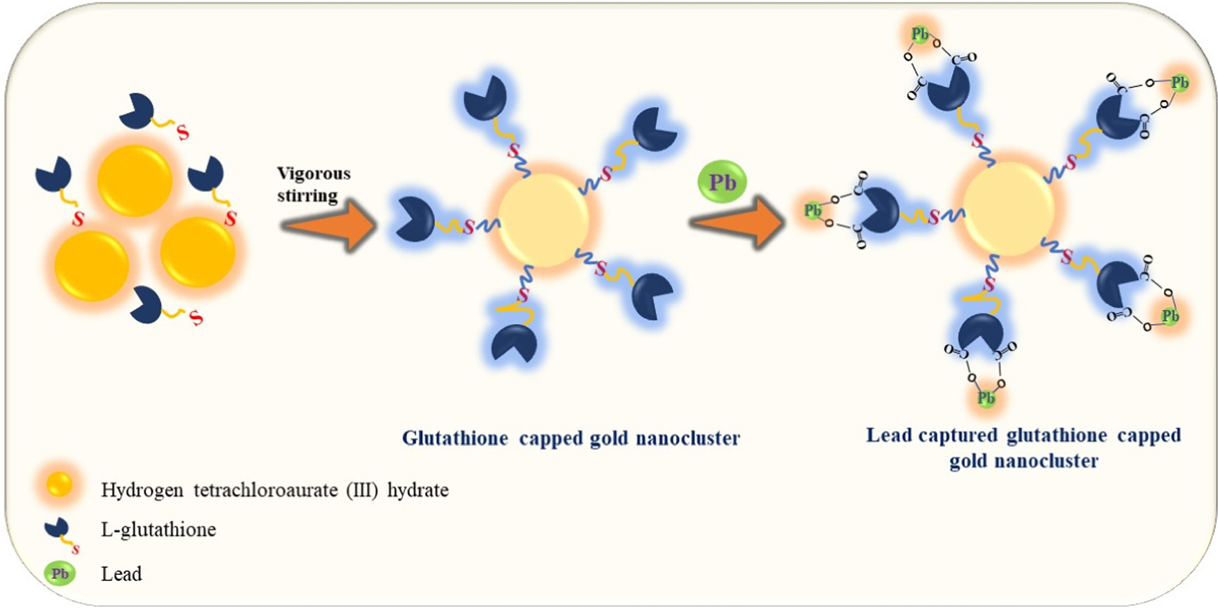 A simple naked eye detection of Pb2+ on a gold nanocluster decorated disposable paper spot arrays