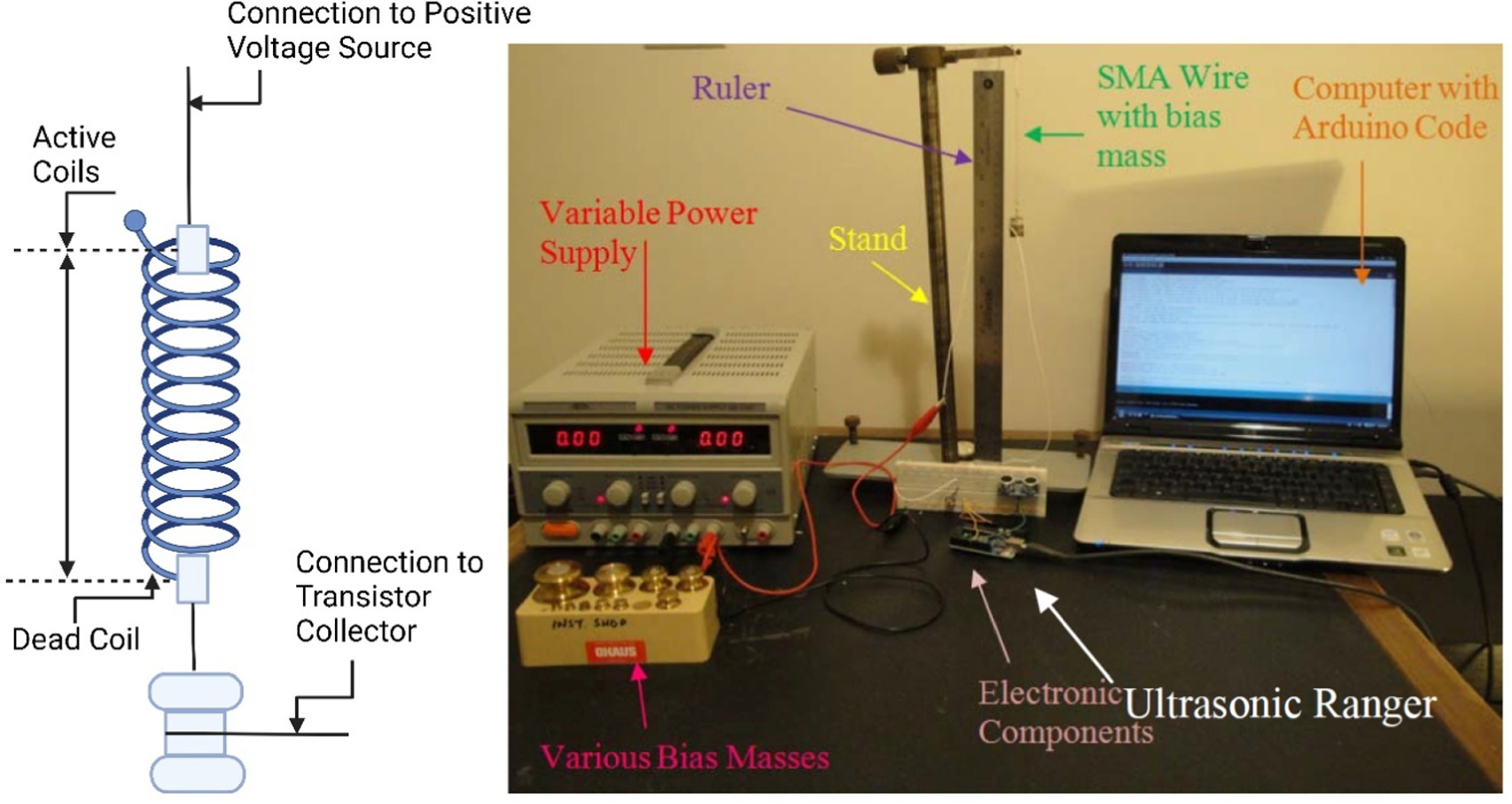 Processing of shape memory alloys research, applications and ...