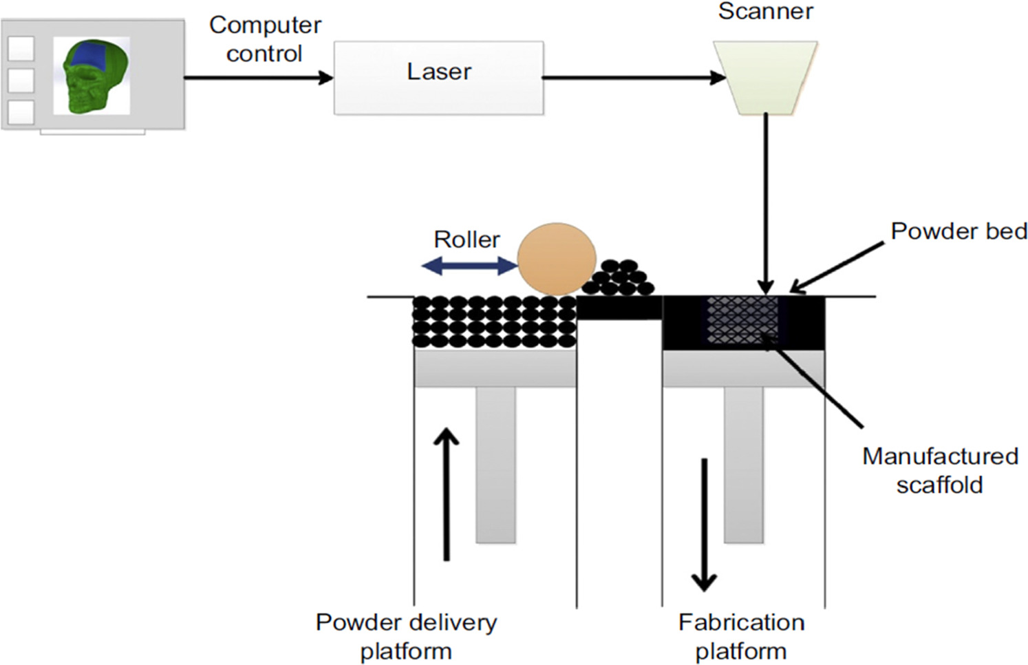 Processing of shape memory alloys research, applications and ...