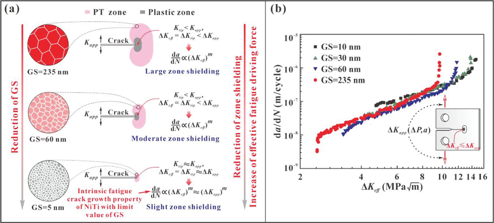 Processing of shape memory alloys research, applications and ...