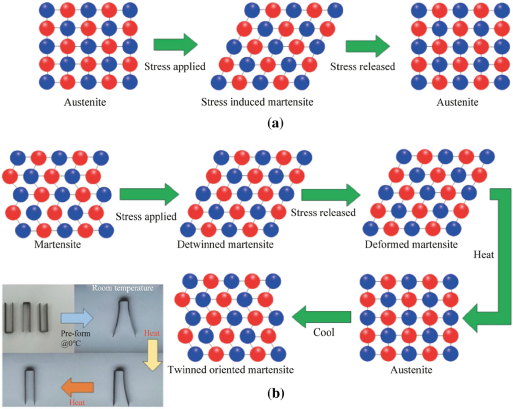 Processing of shape memory alloys research, applications and ...