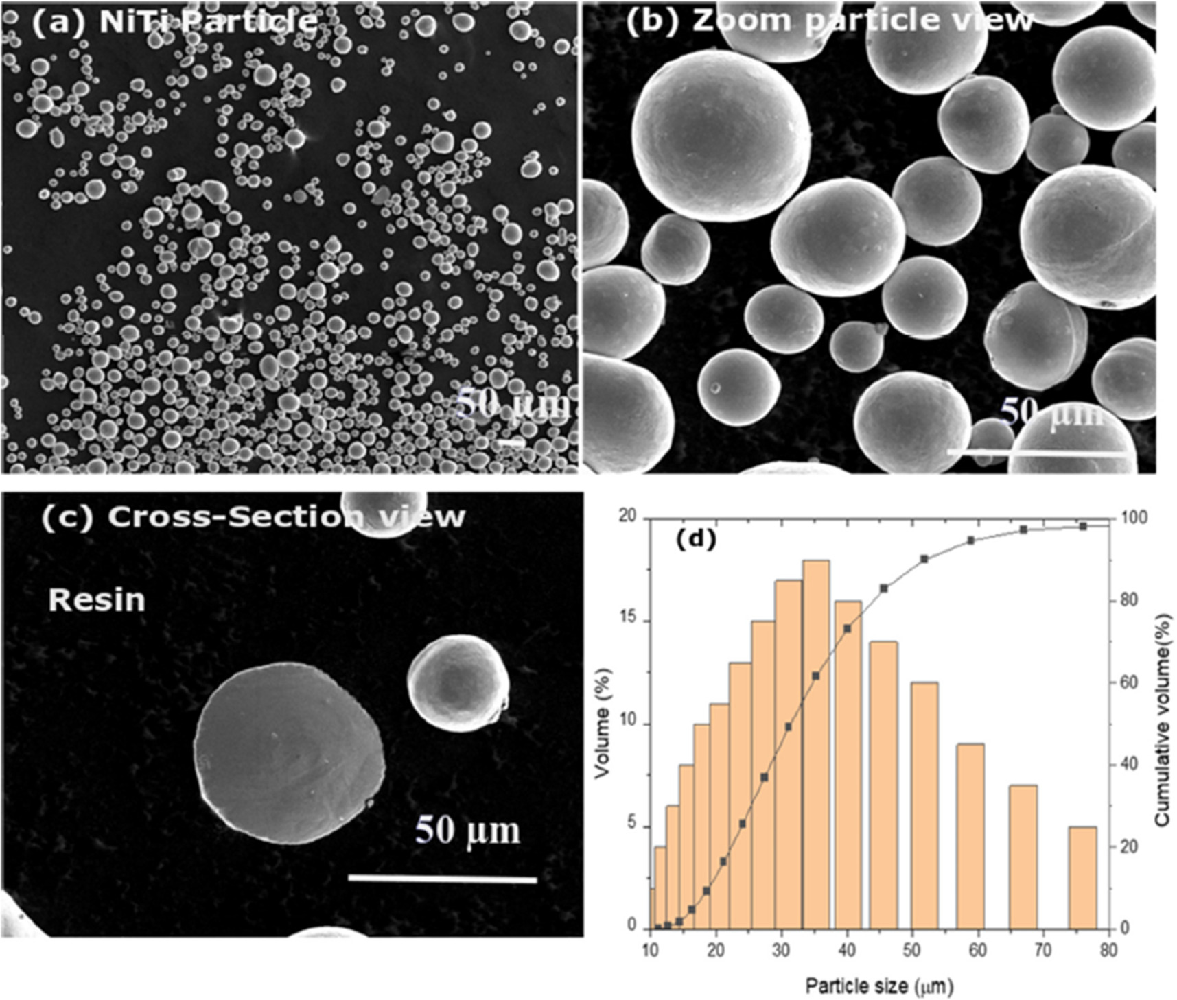 Processing of shape memory alloys research, applications and ...