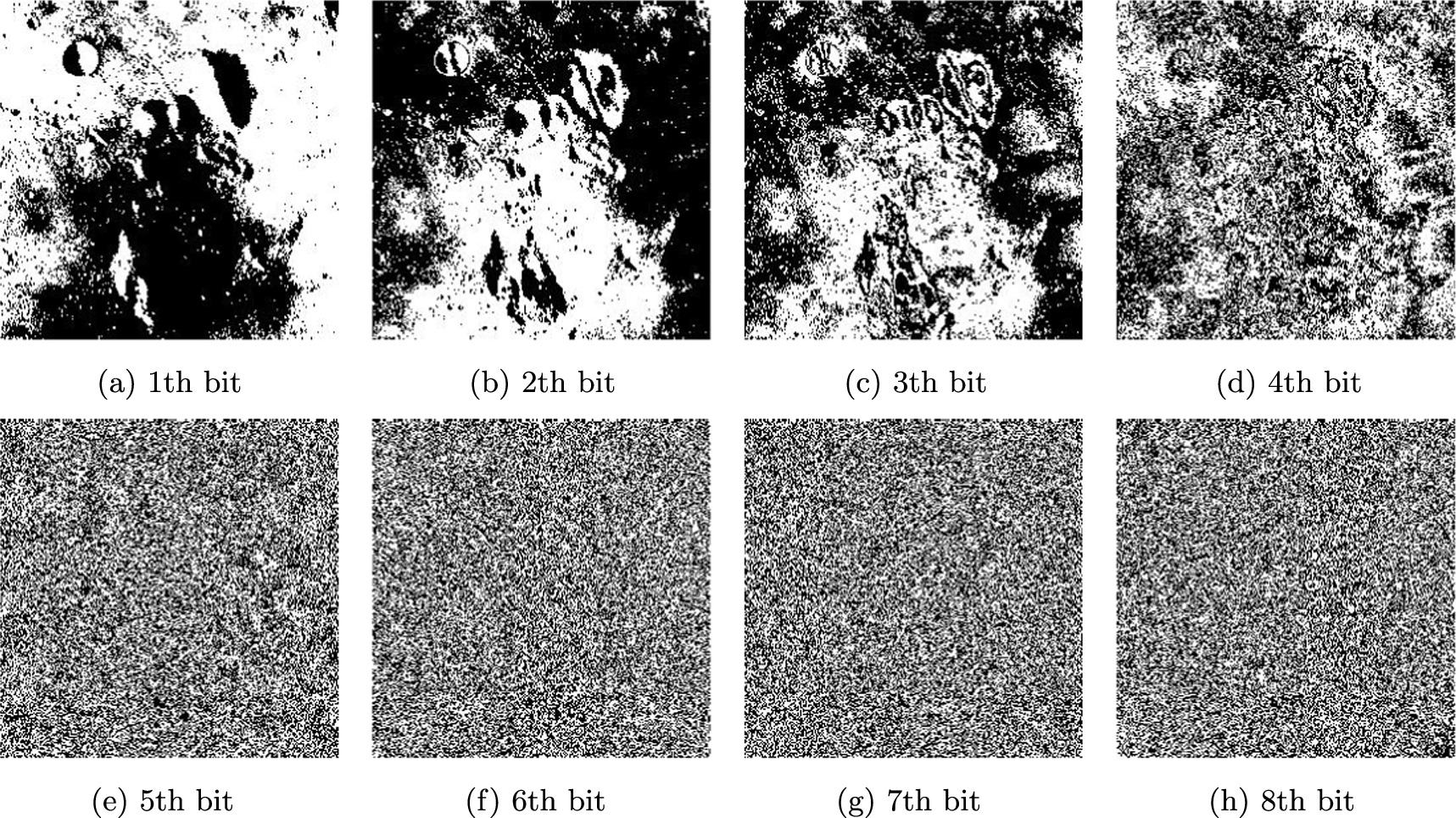 Local bit-level image encryption algorithm based on one dimensional ...