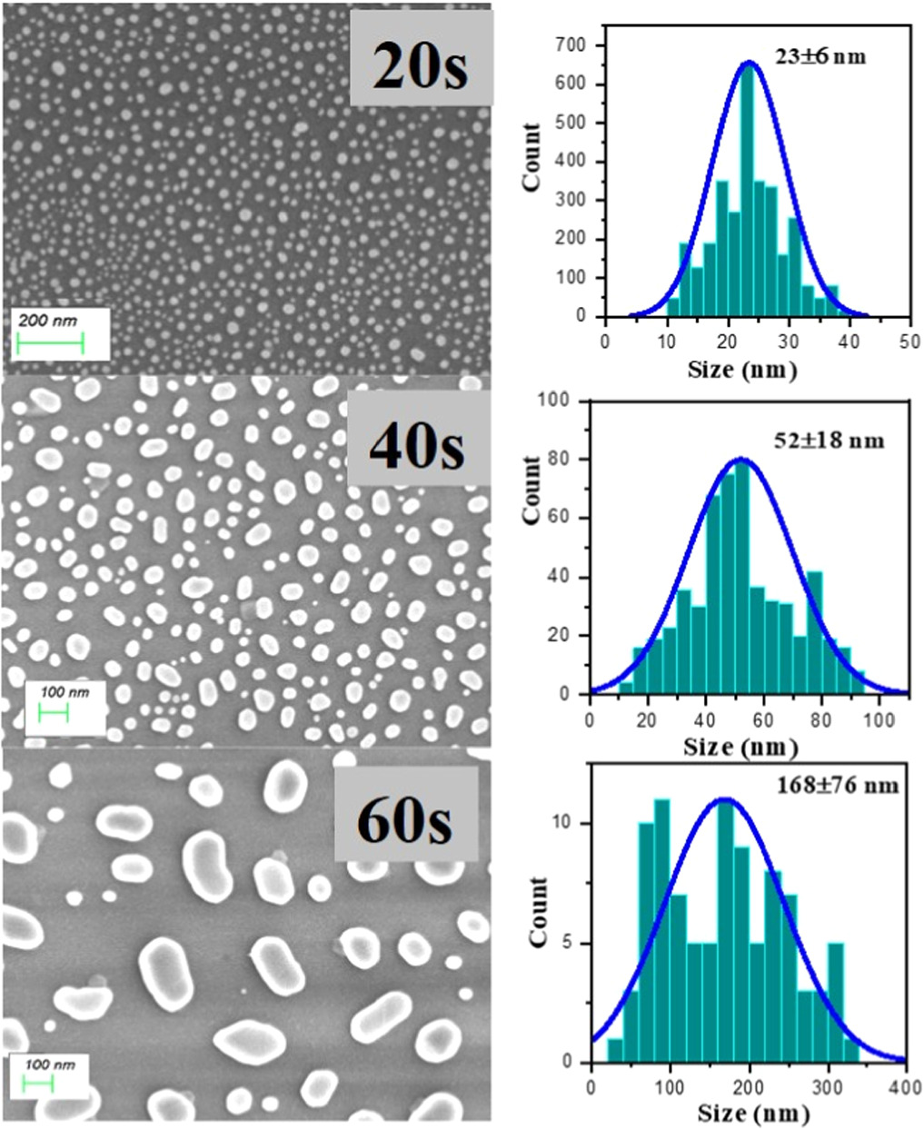 Surface enhanced Raman scattering in thin films: the importance of ...