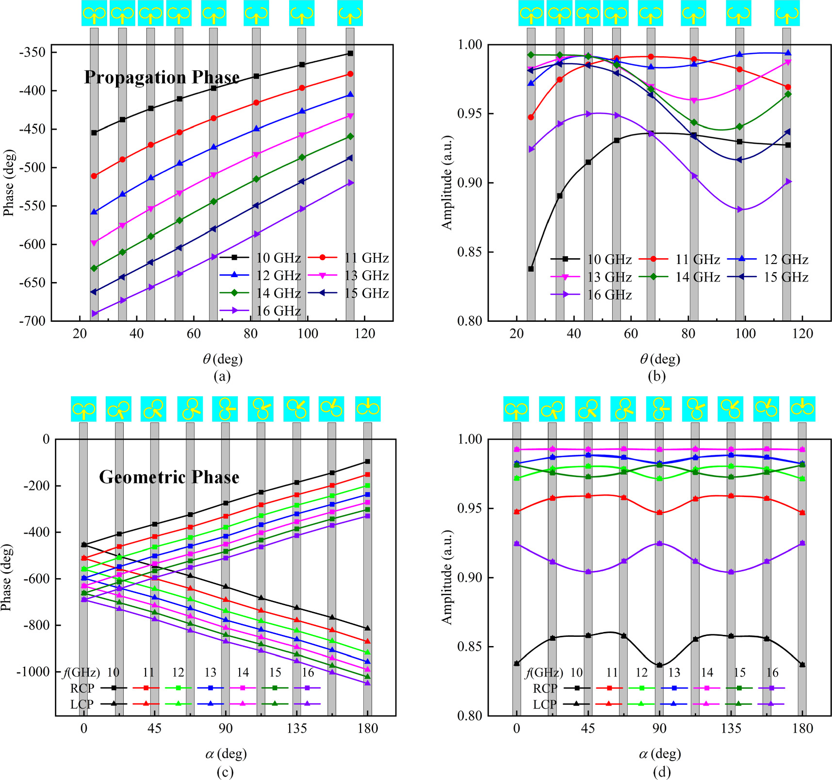 Meta Waveforms Broadband spin-decoupled metasurface for independent wavefront ...