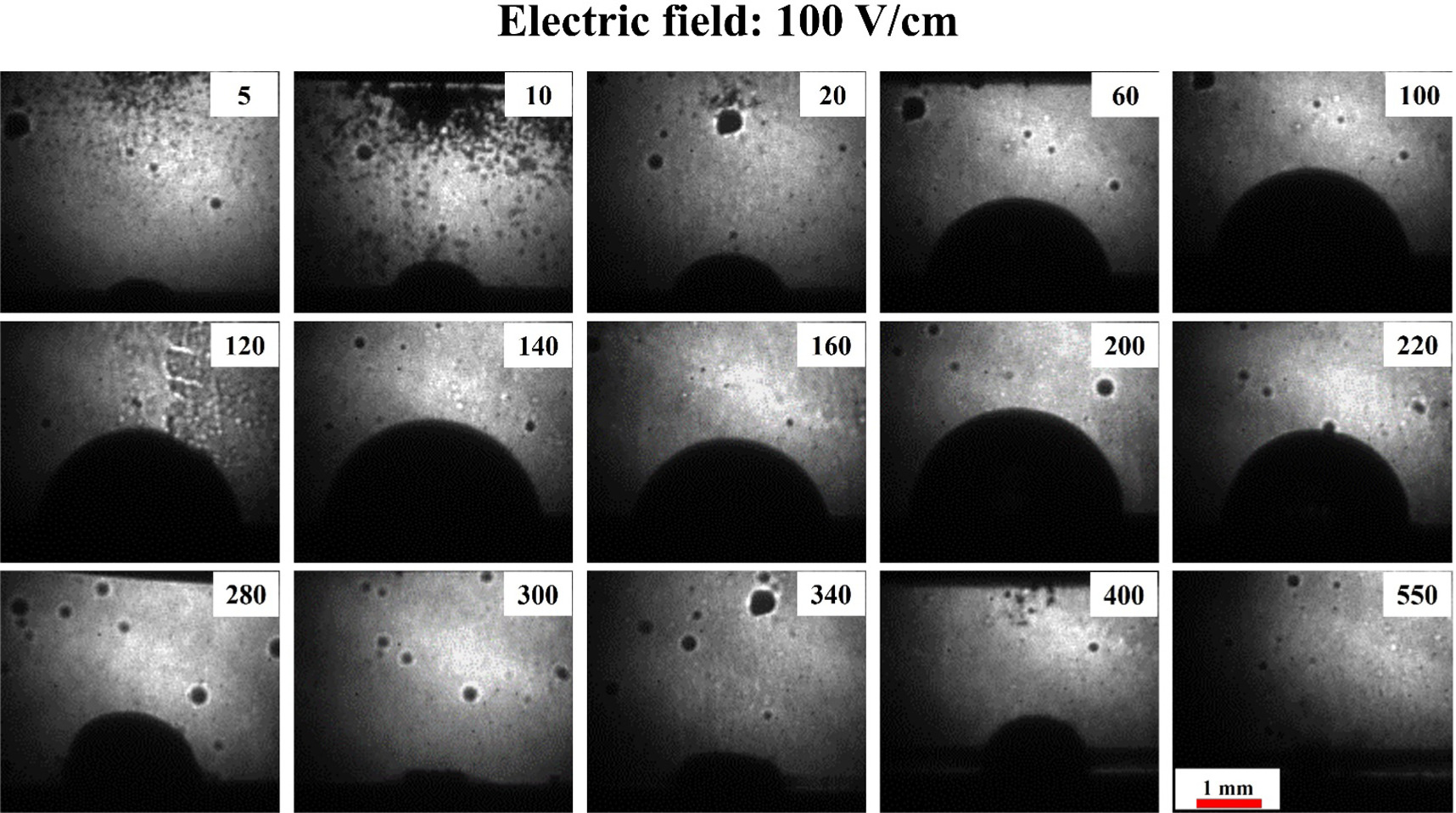 Synergistic influence of external electric field on laser ablation in ...