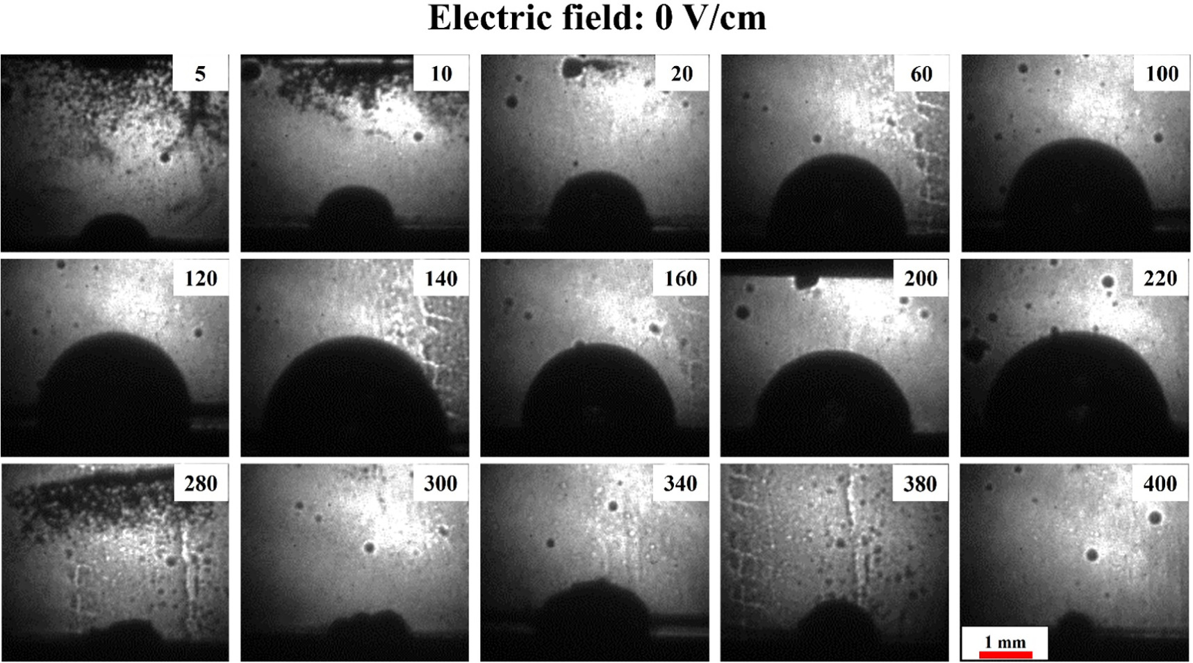 Synergistic influence of external electric field on laser ablation in ...