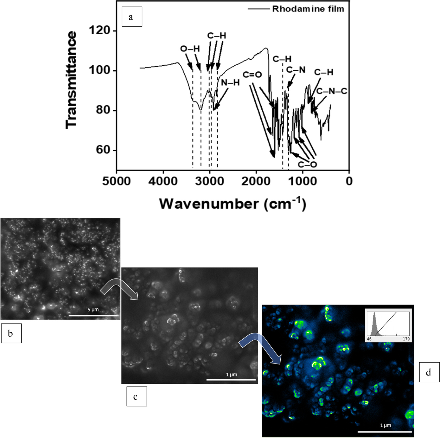 Highly sensitive rhodamine B dye-based electrochemical sensor for ...