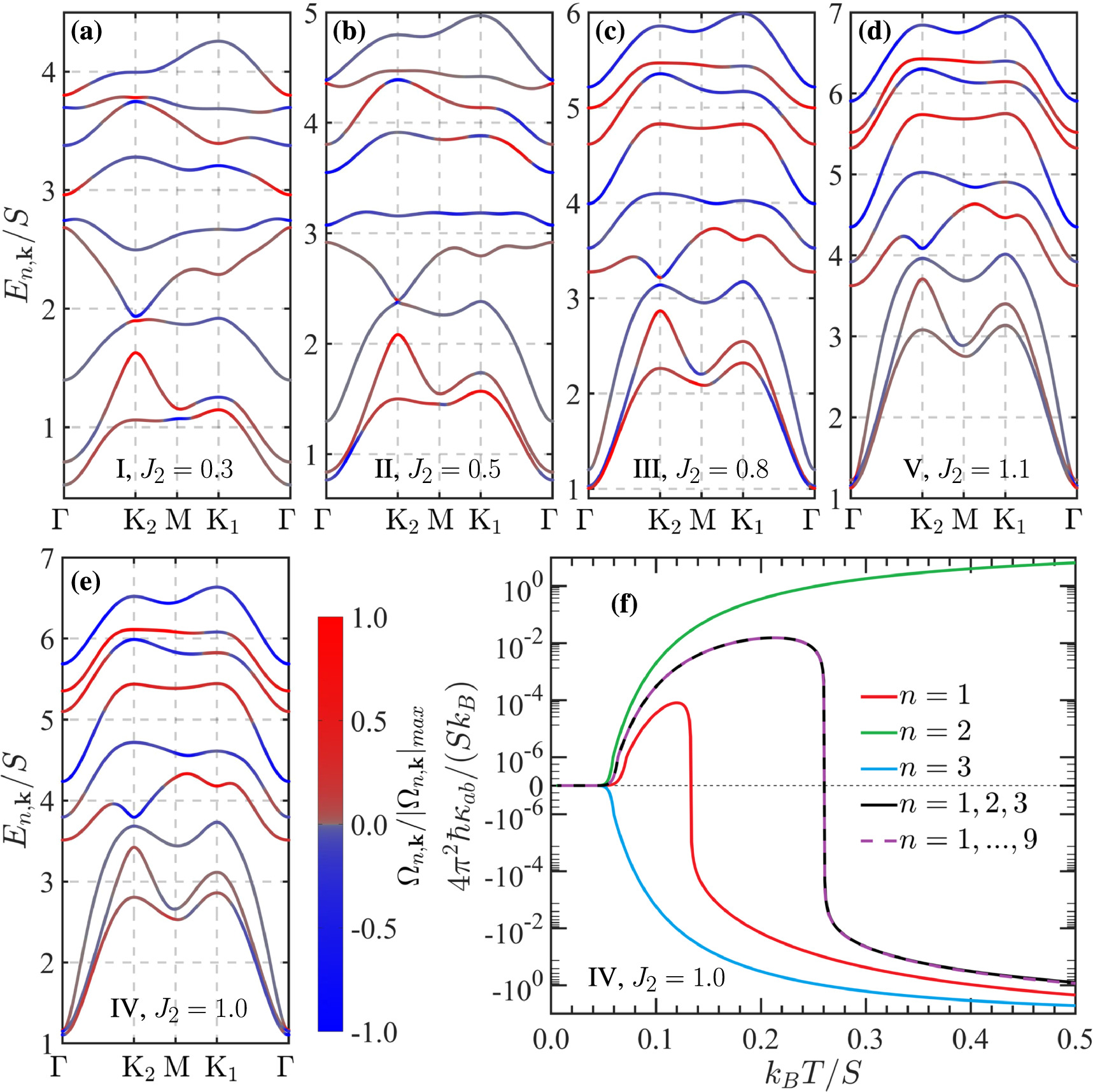 Topological magnons in a non-coplanar magnetic order on the