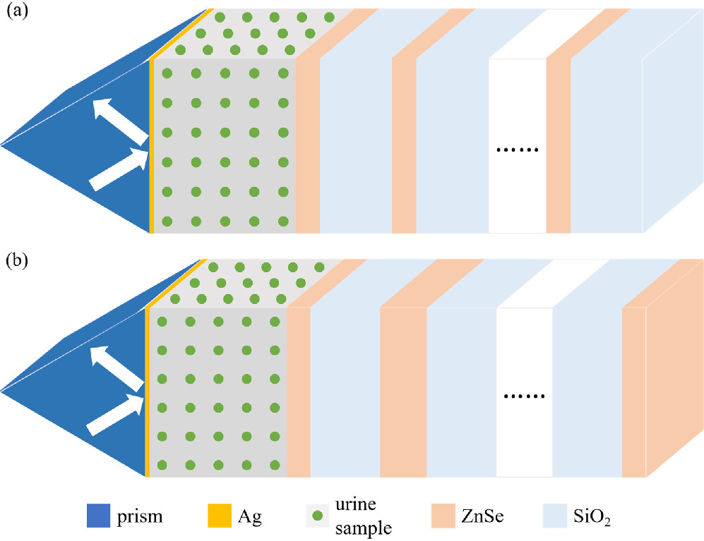 Urine glucose concentration detection biosensor using one-dimensional ...