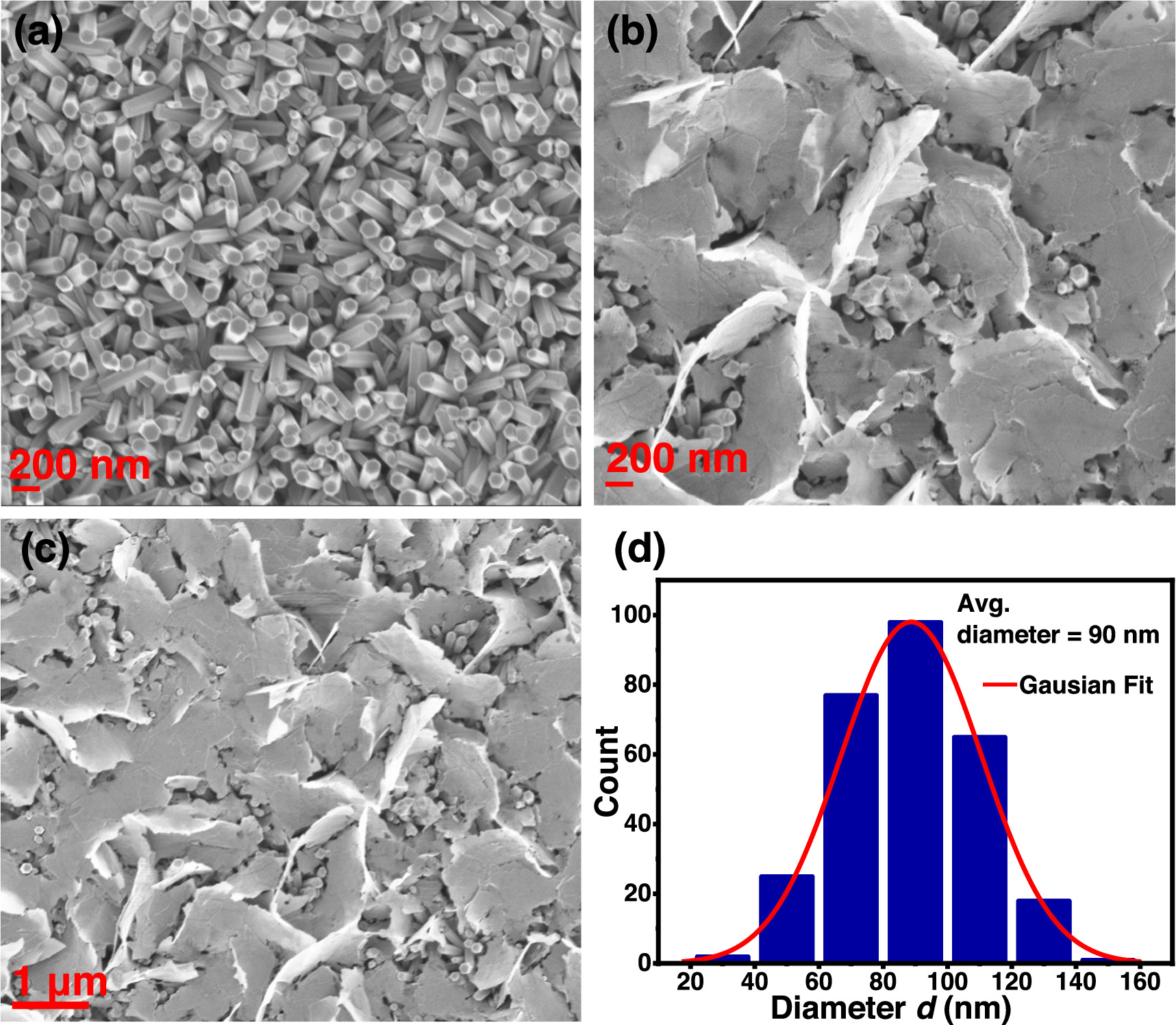 On the properties of ZnO nanorods (ZnO NRs)/NiO heterostructure ...
