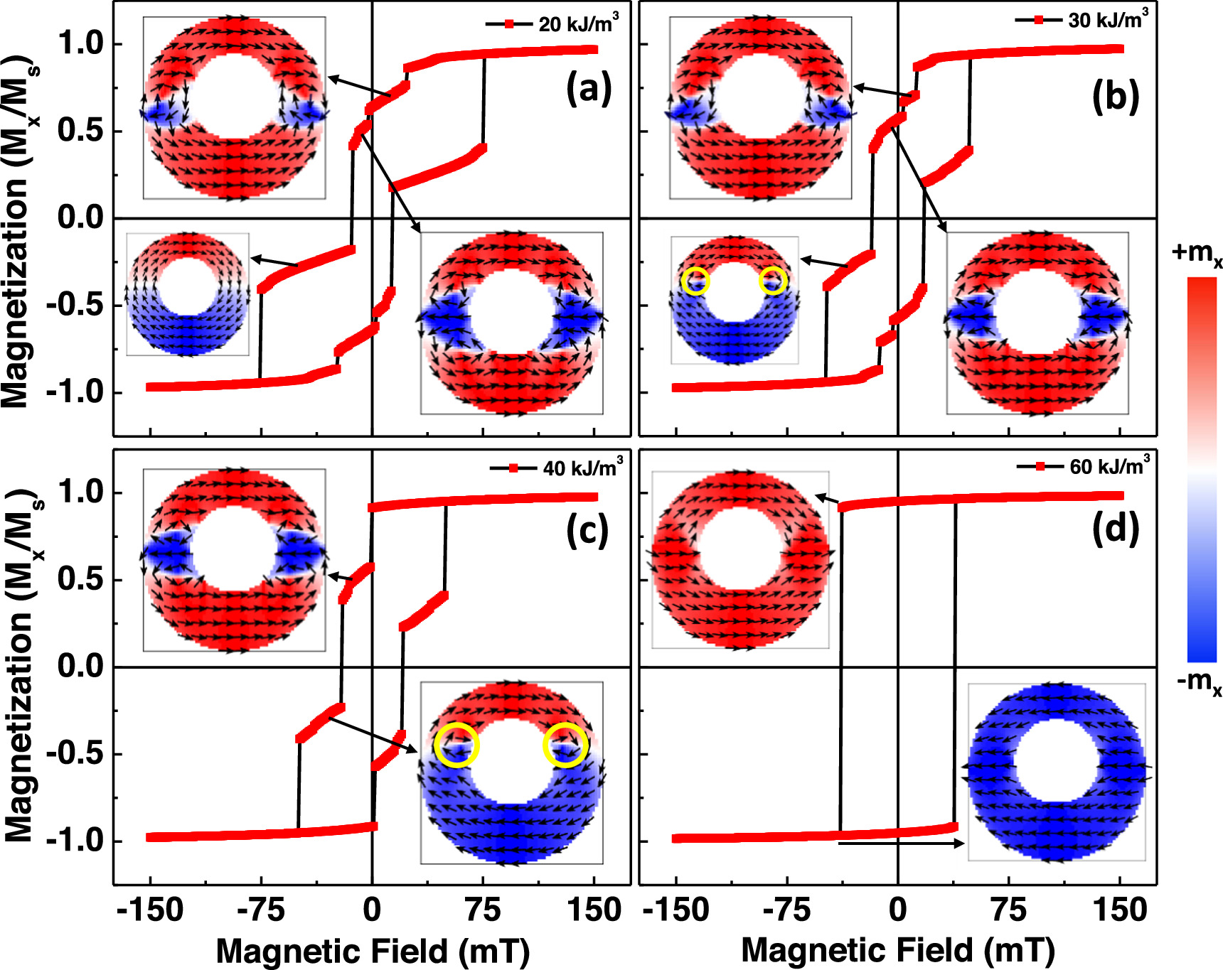 Pyring Effect of void geometry and magnetic anisotropy in controlling the ...
