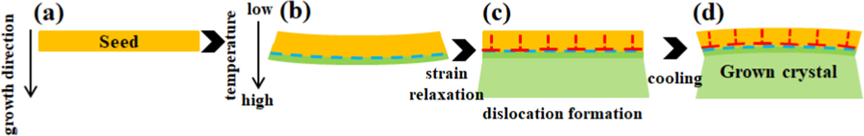 Dislocation proliferation at the growth crystal/seed interface of ...