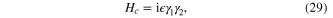 Equation (29)