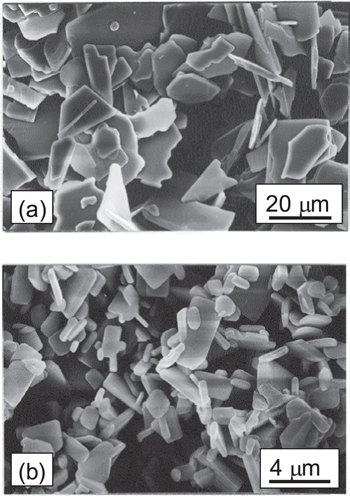 Texture design for microwave dielectric (Ca0.7Nd0.3)0.87TiO3 ceramics ...