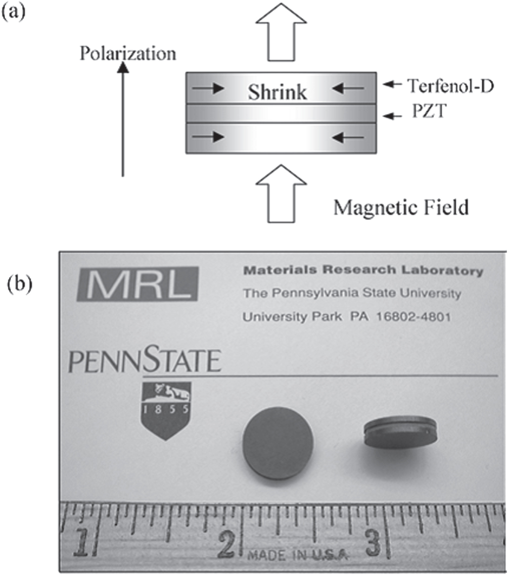 Glory of piezoelectric perovskites - IOPscience
