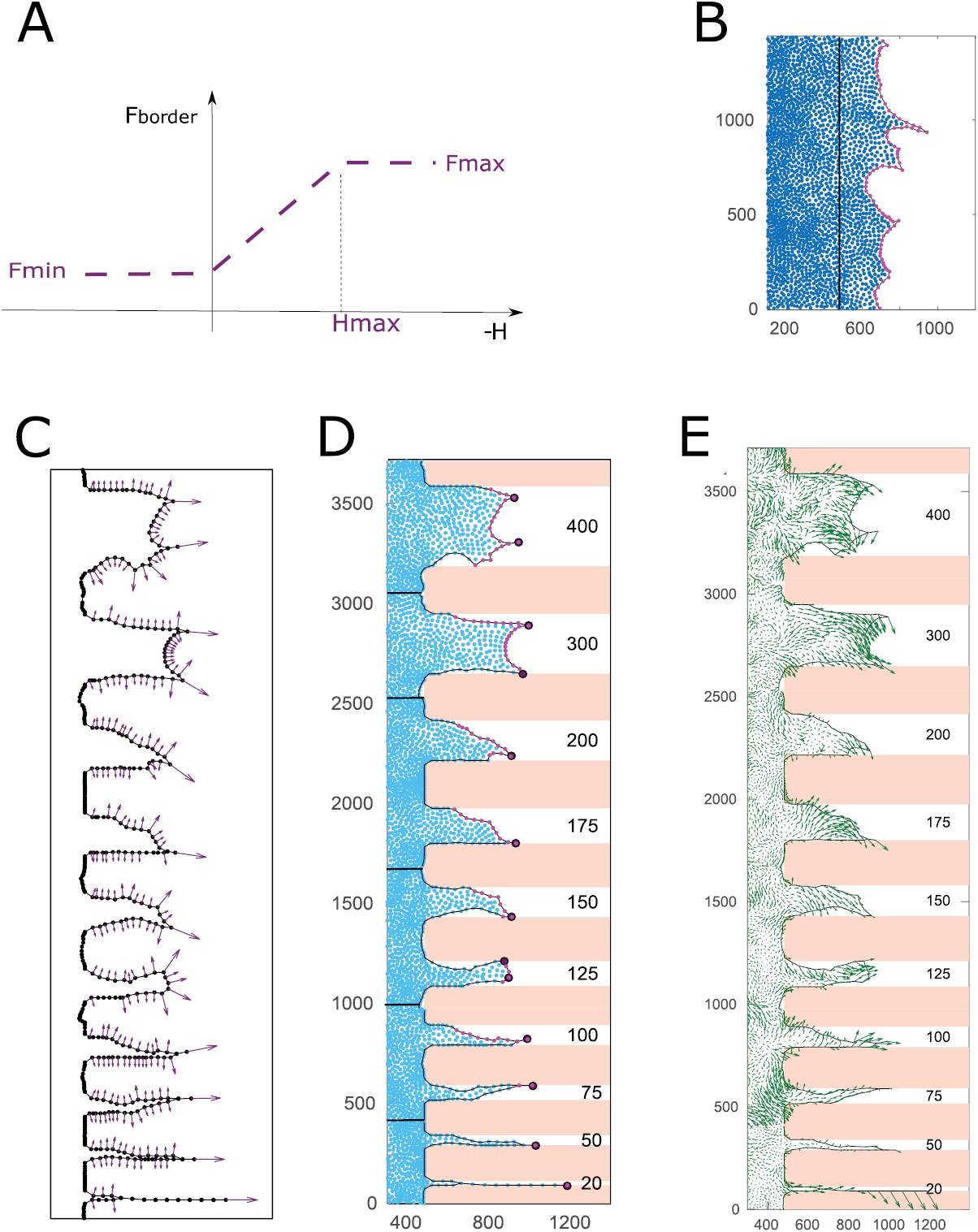 Modeling collective cell migration in geometric confinement - IOPscience