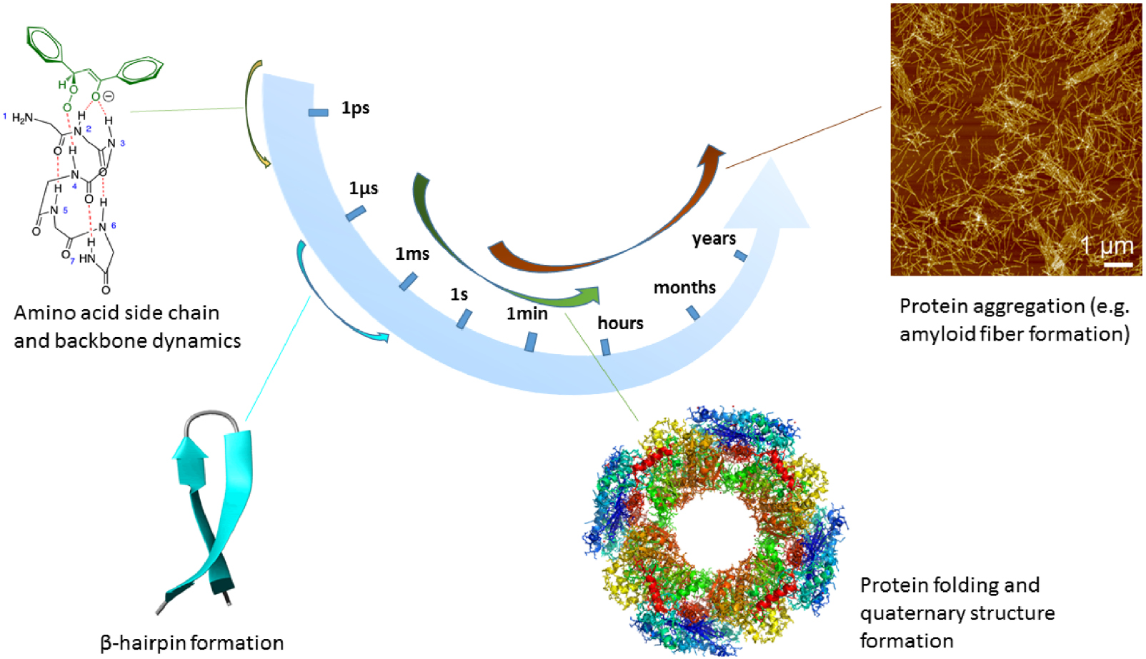Quantitative computational models of molecular self-assembly in systems ...