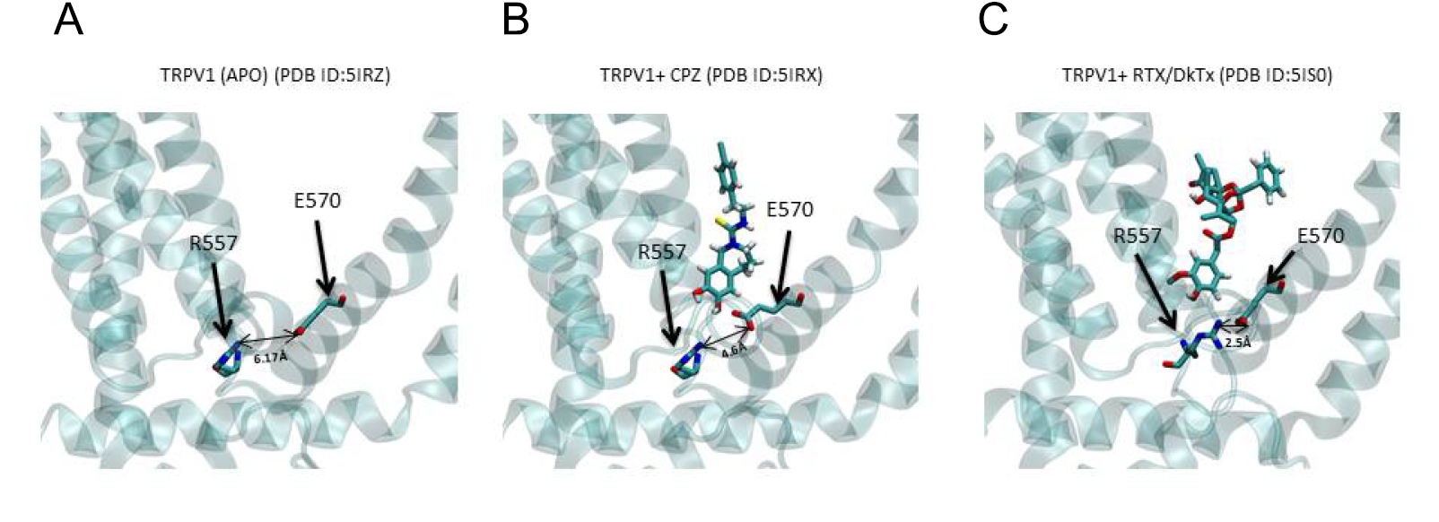 Thermally activated TRP channels: molecular sensors for temperature ...