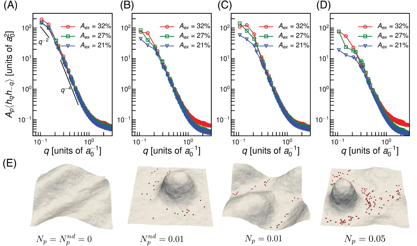 Emergent membrane morphologies in relaxed and tense membranes in ...