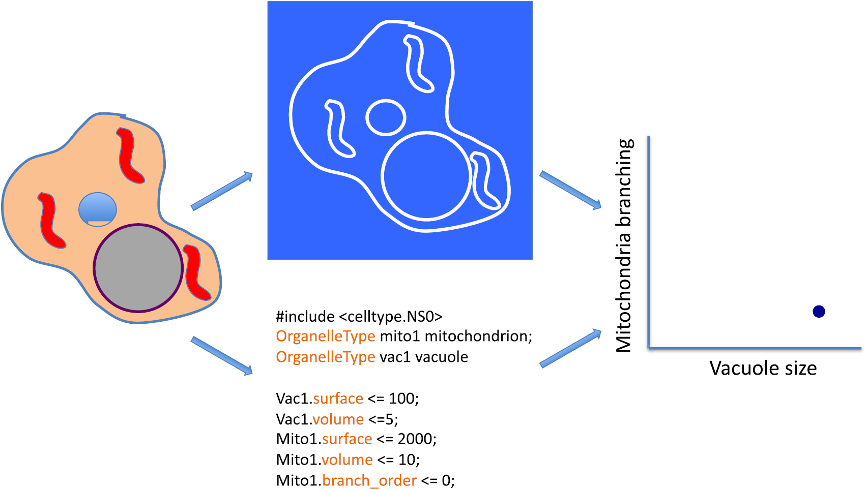 Towards computer-aided design of cellular structure - IOPscience