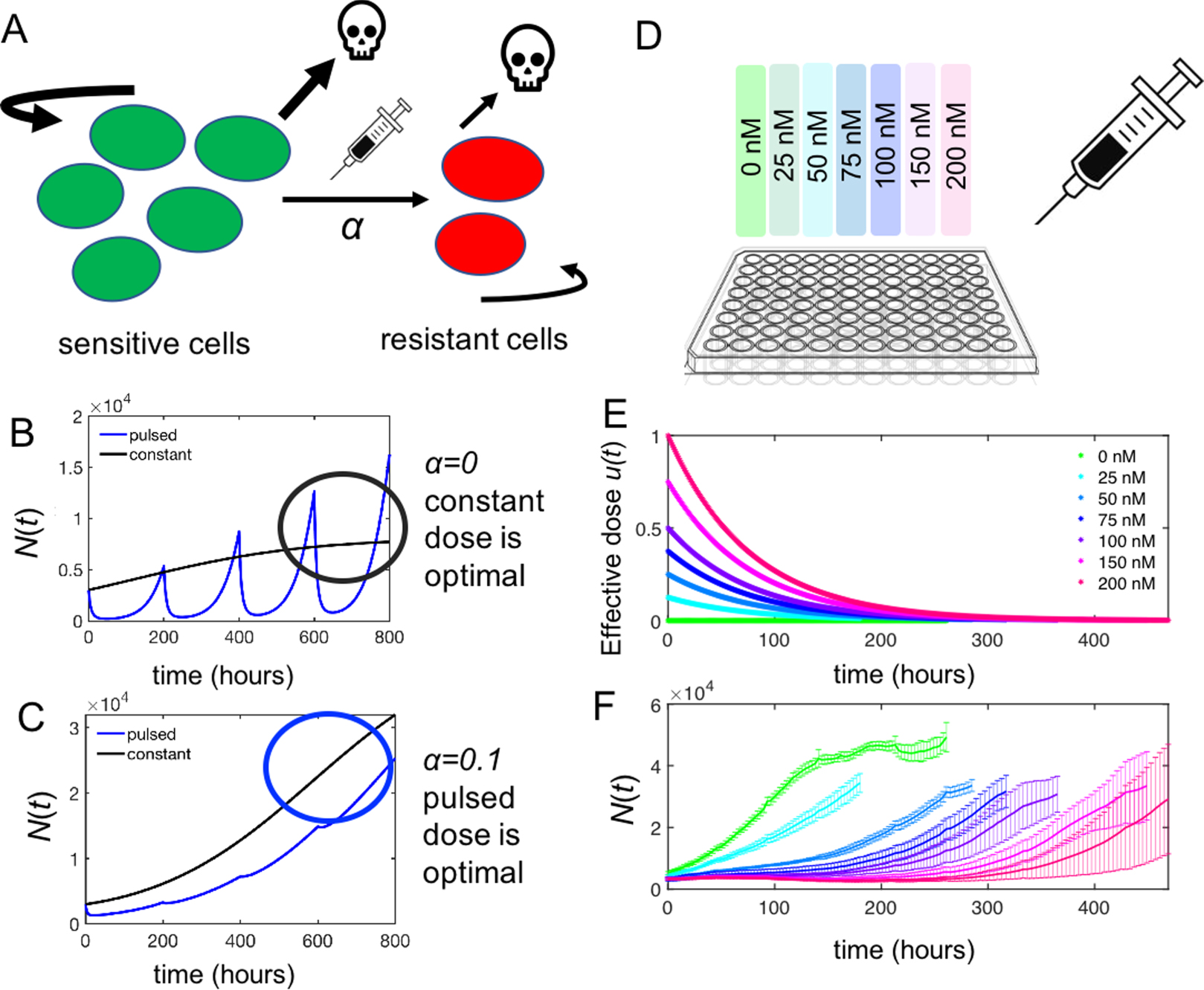 Integrating transcriptomics and bulk time course data into a ...